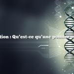 Question : Qu’est-ce qu’une pomme poire ?